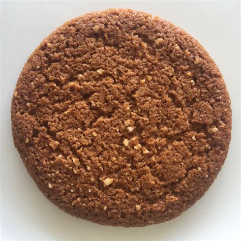 GLUTEN-FREE GINGERNUT BISCUITS — THE COELIAC'S REVENGE