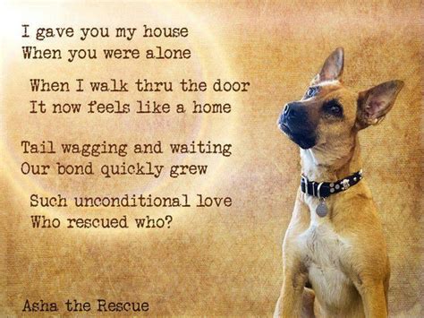 Rescue | Dog poems, Dog quotes, Dog love