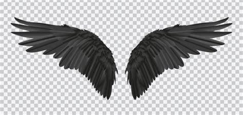 Raven Bird Wings