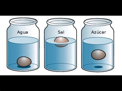 Principio de Arquímedes - Experimento - YouTube