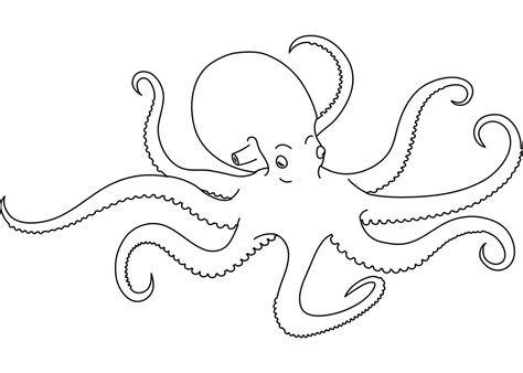 Free Octopus coloring page - Download, Print or Color Online for Free