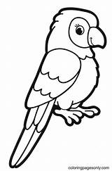 Papagei Papegaai Pappagallo Colorare Papagayo Parrot Malvorlage  sketch template