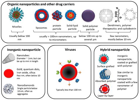 Nanomaterials | Free Full-Text | siRNA Delivery Strategies: A ...