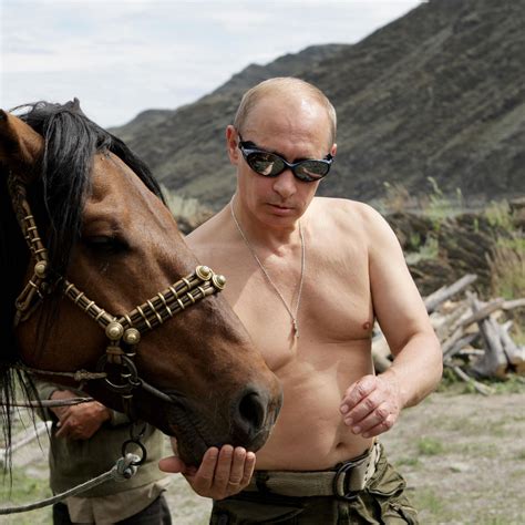 Vladimir Putin Horse