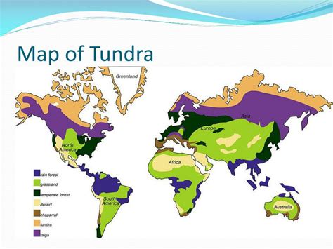 PPT - Tundra PowerPoint Presentation, free download - ID:2455499