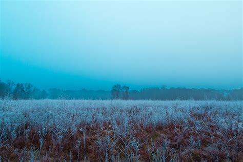 Frozen Fog – Adam Marshall Creative