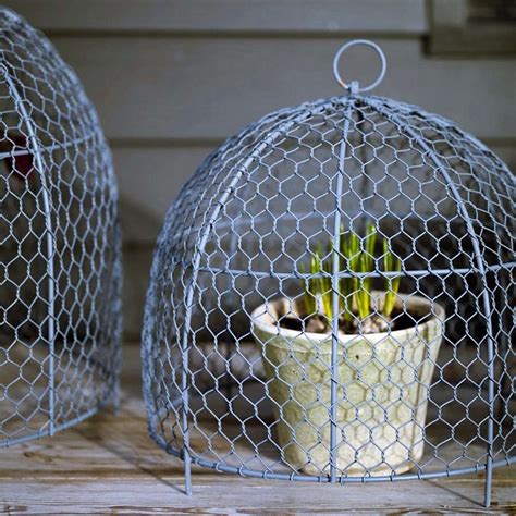 Garden Hacks: 10 Ideas for Wire Cloches - Gardenista