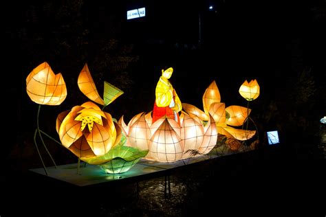 Cheonggyecheon Lantern Festival | A girl in a lotus. | Tuuli Saarinen ...