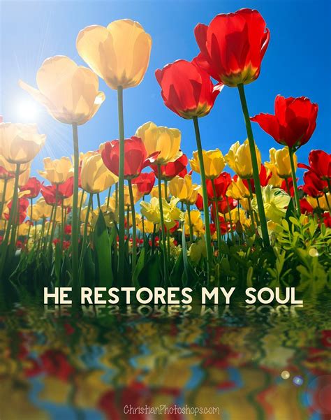 He restoreth my soul: he leadeth me in the paths of righteousness for ...