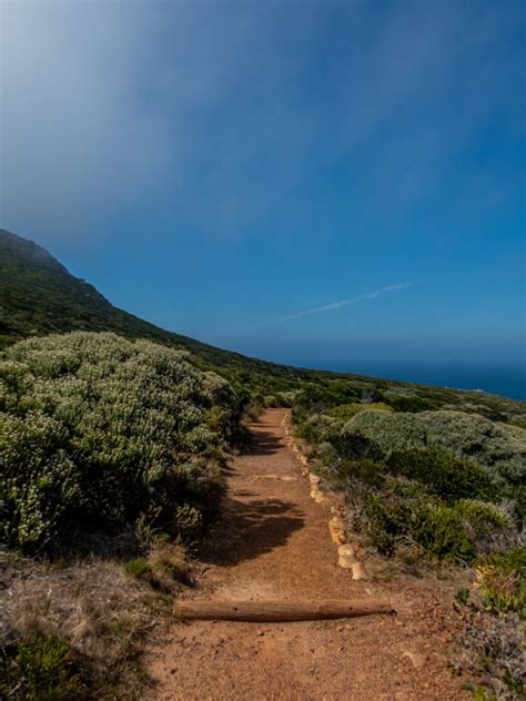 Cape Point Nature Reserve | Exploring the African Continent's Edge