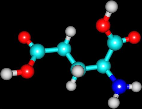 What is Glutamic Acid? | MindZymes