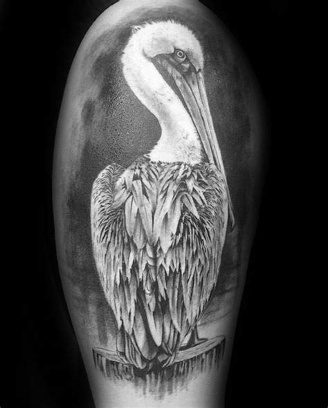 50 Pelican Tattoos For Men - Water Bird Design Ideas