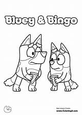 Bluey And Bingo Coloring sketch template