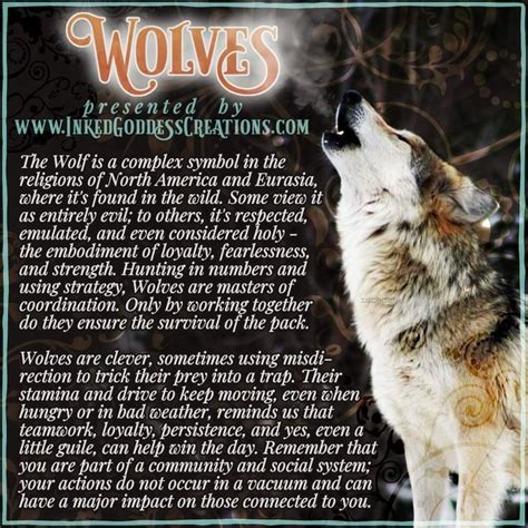 Animal Meanings, Animal Symbolism, Animal Spirit Guides, Spirit Animal, Lone Wolf Quotes, Wolf ...