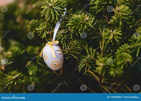 Easter egg on pine branch stock photo. Image of covered - 114040962