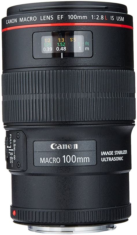 Best Macro Lens for Canon: The Ultimate Guide (2020)