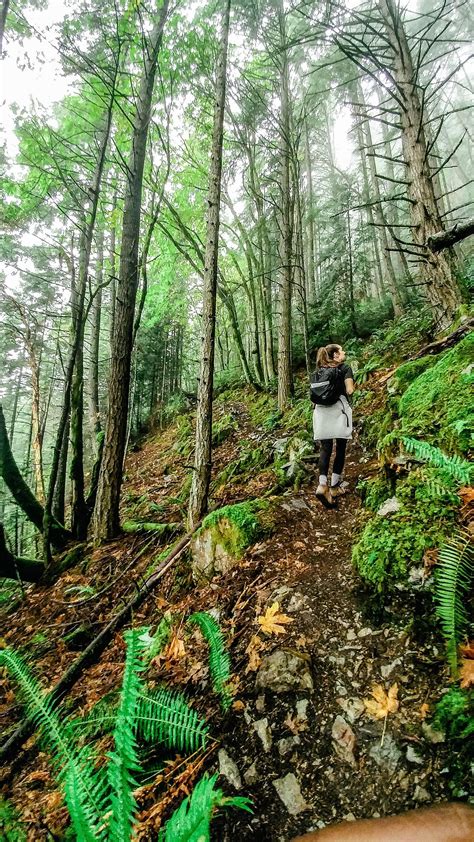 Hiking Tunnel Bluffs in Vancouver | Sea to sky highway, Vector landscape, Hiking trip