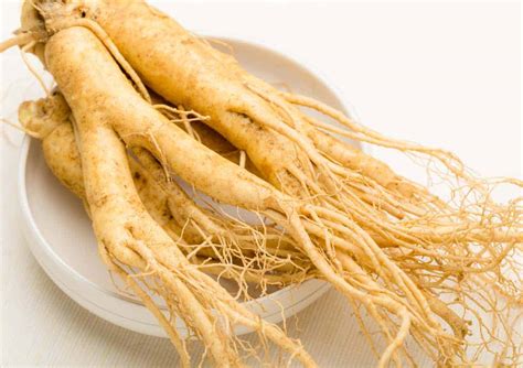 A Guide To Indoor Ginseng Growing: Grow This Healing Herb at Home ...