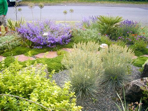 Mediterranean Gravel Garden – Creative Landscapes, Inc.