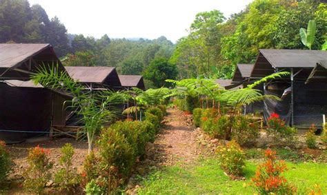 °HOTEL CURUG NANGKA GREEN GLAMPING BOGOR (Indonesia) | BOOKED