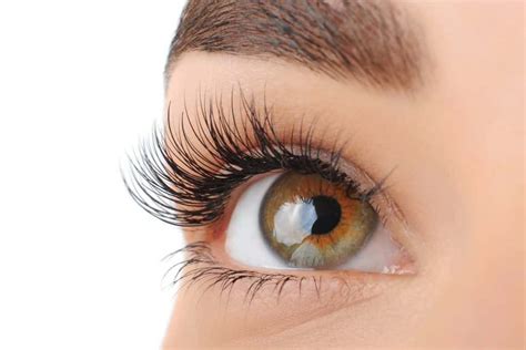 Cluster Lashes: Why You Should Avoid It + Lash Alternatives