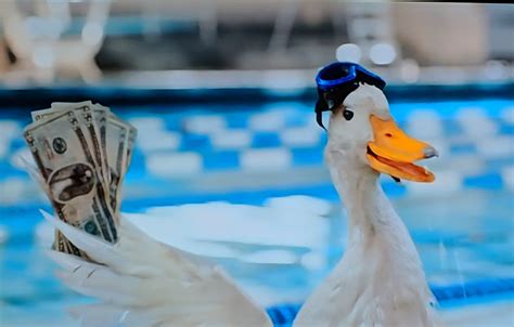 The Aflac duck is holding money with his portrait on them : r/TVDetails