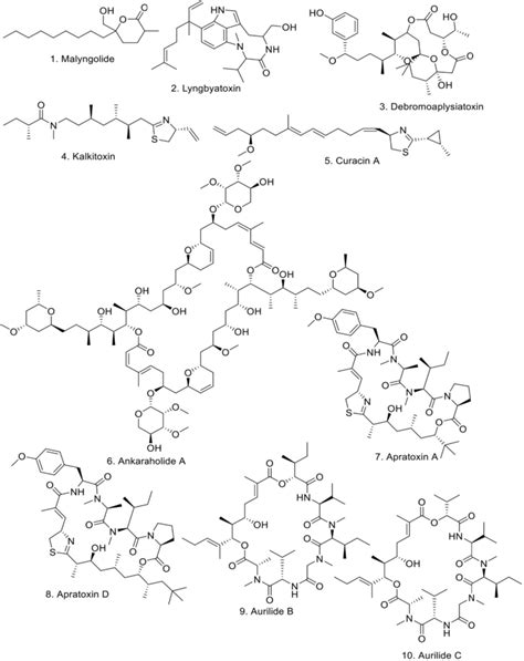 Structure of Oscillatoria-derived bioactive compounds | Download Scientific Diagram