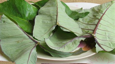 Recipe: Moong Sprout Alu Wadi /Patrode (Colocasia leaves rolls) - EatWize