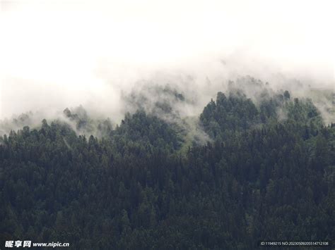 树林风景摄影图__自然风景_自然景观_摄影图库_昵图网