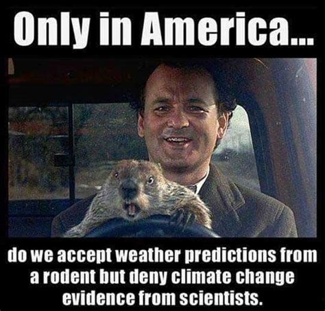 Hilarious Groundhog Day Memes To Get You Through 6 More Weeks Of Winte