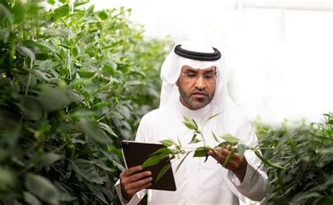 SABIC Agri-Nutrients - Home