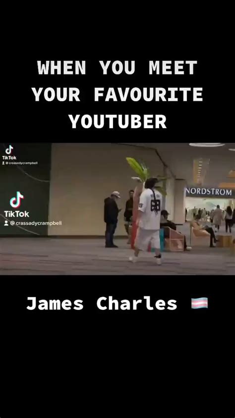 WHEN YOU MEET YOUR FAVOURITE YOUTUBER TikTok James Charles - )