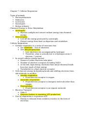 Chapter 7 - Chapter 7: Cellular Respiration Types of animals Photosynthesizers Hebivores ...