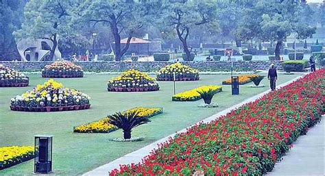 10 Things to do when you visit the beautiful city of Chandigarh