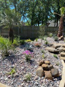 Sustainable Landscaping - Landscape Innovations