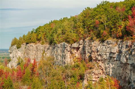 Ridge Runner Mountain Coaster | Grey County's Official Tourism Website - Visit Grey