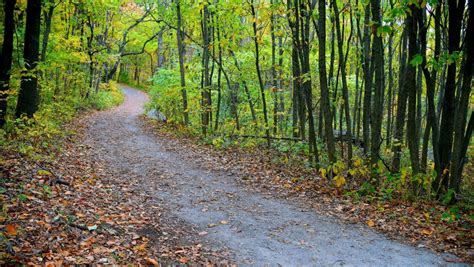 Van Cortlandt Park Trails: Hiking in the Bronx - offMetro NY