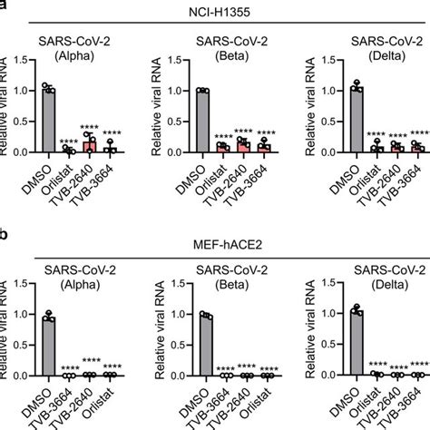 Fatty acid synthase inhibitors suppress the replication of SARS-CoV-2 ...