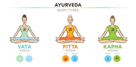 Vata, pitta, and kapha doshas. Ectomorph, mesomorph and endomorph. Ayurvedic physical ...