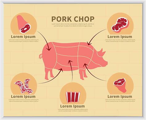 Free Pork With Type Of Meat Illustration svg eps vector | UIDownload
