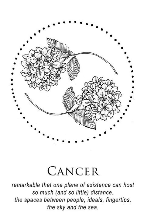 What Is The Flower For Cancer Zodiac