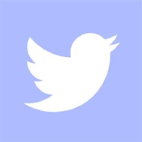 Twitter App Icon | Twitter app, Snapchat icon, Twitter logo