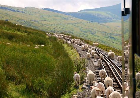 Snowdonia Mountain Railway - Free photo on Pixabay - Pixabay