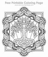 Mindful Coloring Find Tranquility With The Tree Of Life sketch template