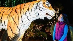 LA Zoo Lights DISCOUNT Tickets 2021: $17.50 - Any Tots