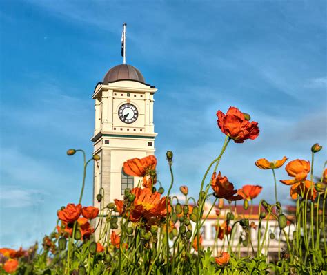 New Zealand pretty as a picture NZ, 10 North Island small towns - Best Bits