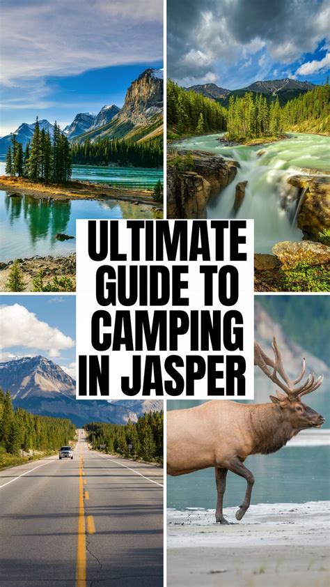 How to camp in Jasper National Park / Camping in Jasper right new Banff / Travel to Albe ...