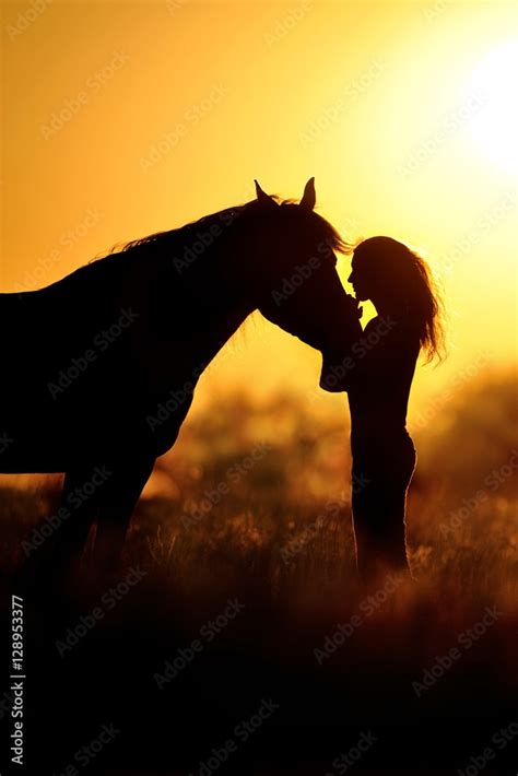 Horse Silhouette Photography