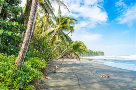 How to get to Cahuita National Park - Horizon Guides