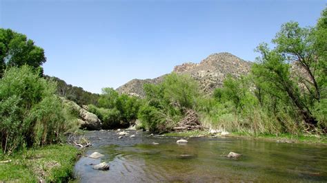 Federal Plan for Gila National Forest Fails to Protect Critical Lands ...